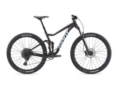 2021 Giant Stance 29 1 S